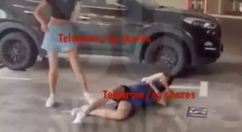 两少女停车场殴打女同学,新加坡青少年暴力行为何时止