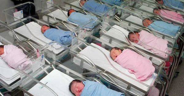 中国专家建议尽快开放三胎!网友:学新加坡发钱