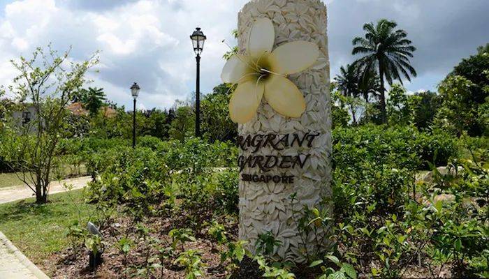 新加坡植物園3月最新兒童樂園,你肯定沒去過!16大遊玩攻略,走起