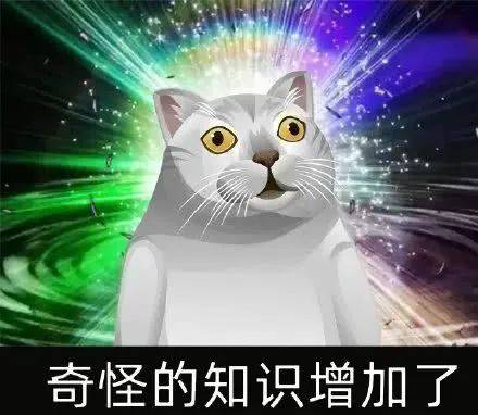 新加坡也有“棺材房”？公寓储藏室月租$500新币，腿都伸不直