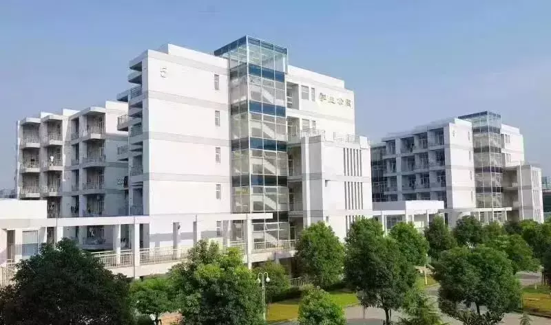 想去新加坡留学?这所建校16年的国际学校直升优势让人眼馋