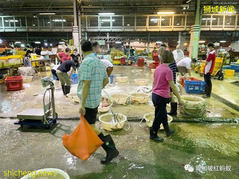 新加坡解封进度不会走回头路 也不会一夜间“大解放”