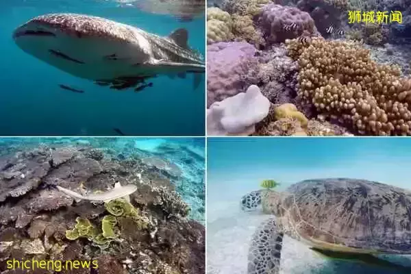 新加坡马来西亚VTL旅游最强攻略!机酒景点信息全都有