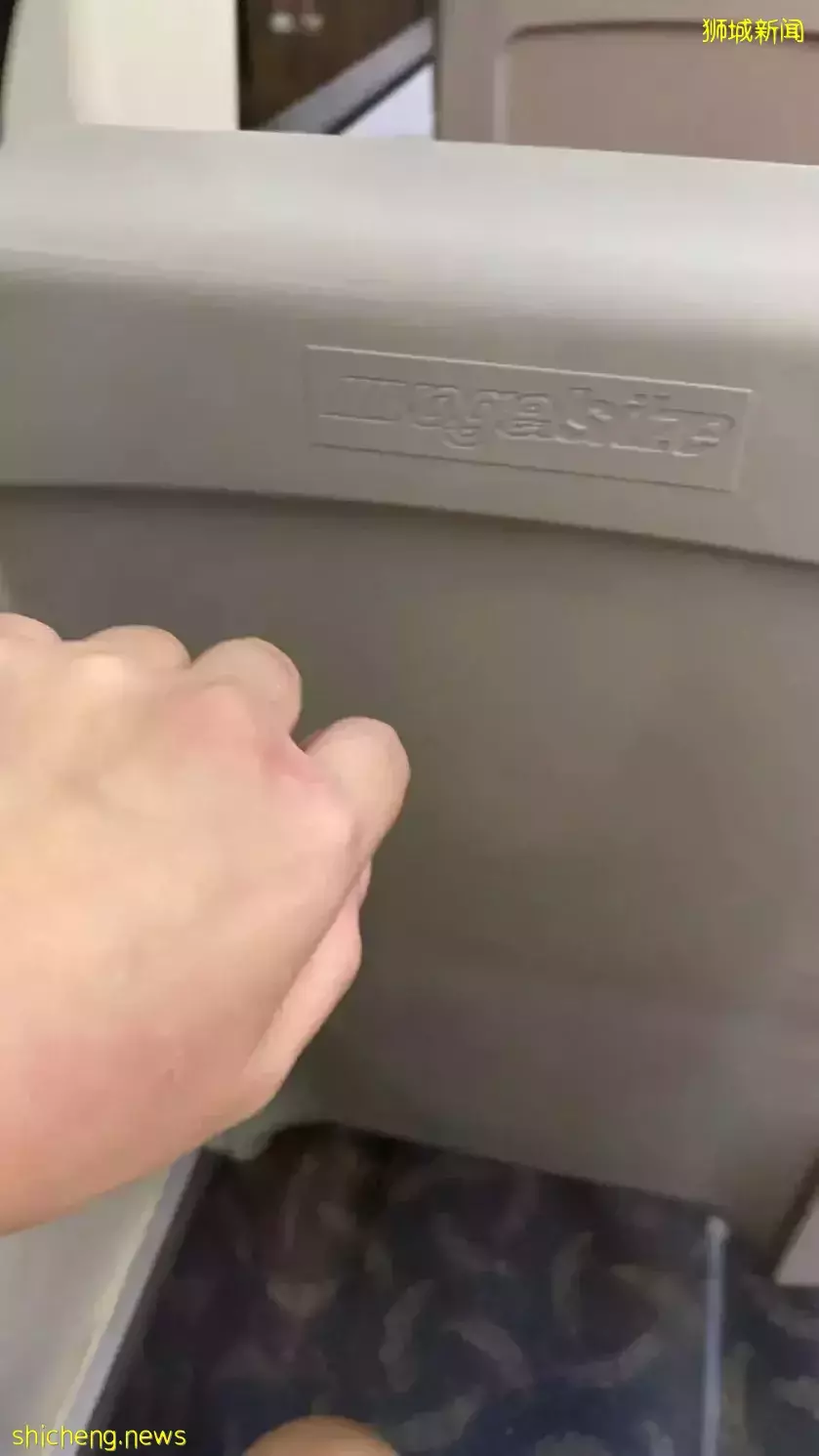 “嫁给新加坡家暴男,我被刷走几十万,浑身是伤逃回中国……”