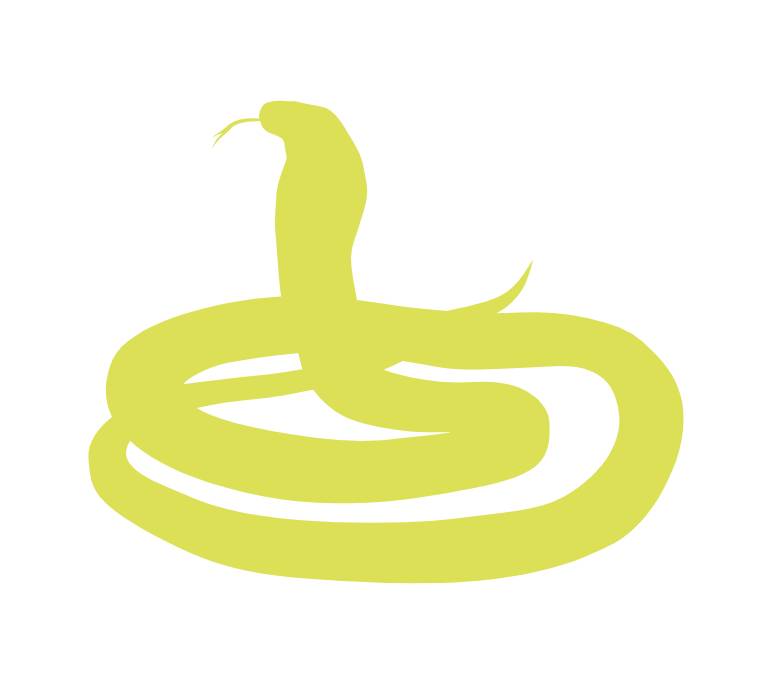 突發！這個海灘驚現一群巨型椰子蟹，還搶燒烤吃！新加坡也被鳄魚、蜥蜴、蟒蛇、水獺、猴子、野豬、野雞嚇到過