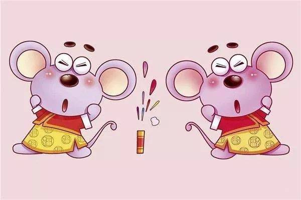 农历2020——神奇的一年