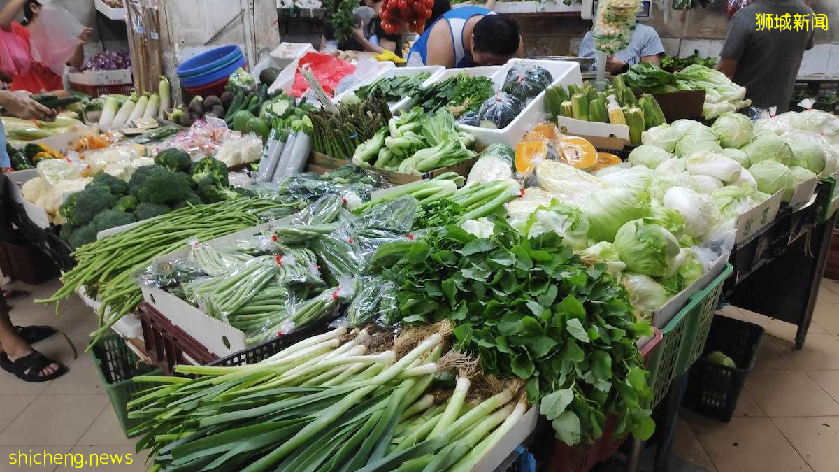 馬來西亞工人減少加上天氣潮濕！本地蔬菜價格上漲