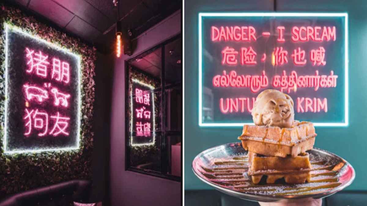 豬朋狗友咖啡廳 後港新咖啡廳 成爲新打卡地點!冰淇淋，啤酒，華夫餅