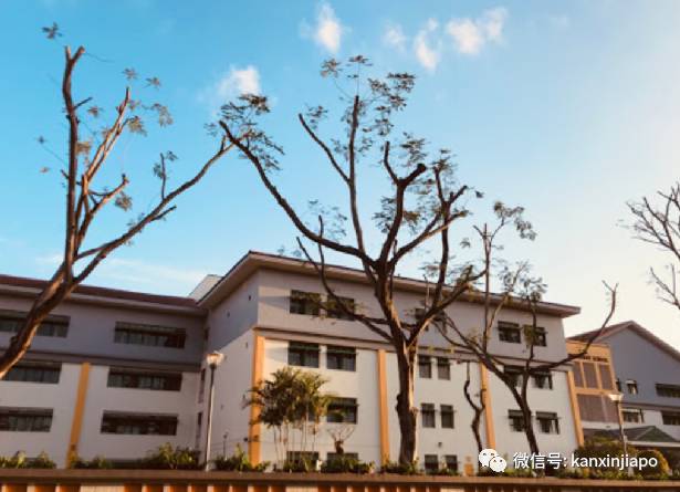 从莱佛士初院到国大,一个中国女孩留学新加坡、7年转公民的逆袭之路