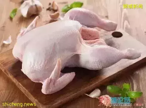 还吃的起新加坡的鸡肉吗？运输成本翻倍鸡价再起