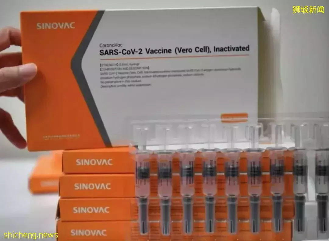 首個研究！新加坡疫苗效果最新排名：莫德納最有效，科興排第幾