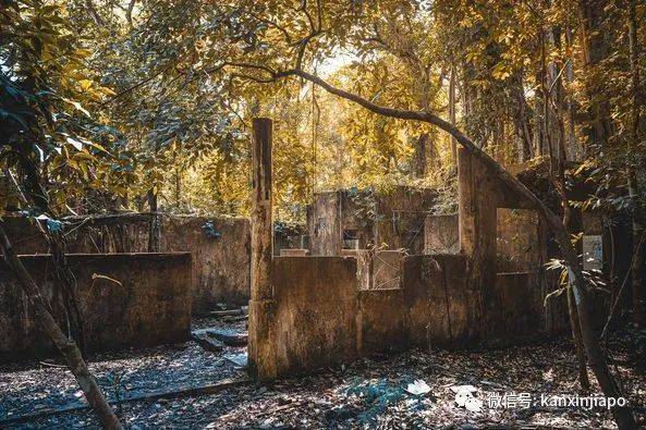 有茅房、有砖门!新加坡保留最完整的中国村藏这里