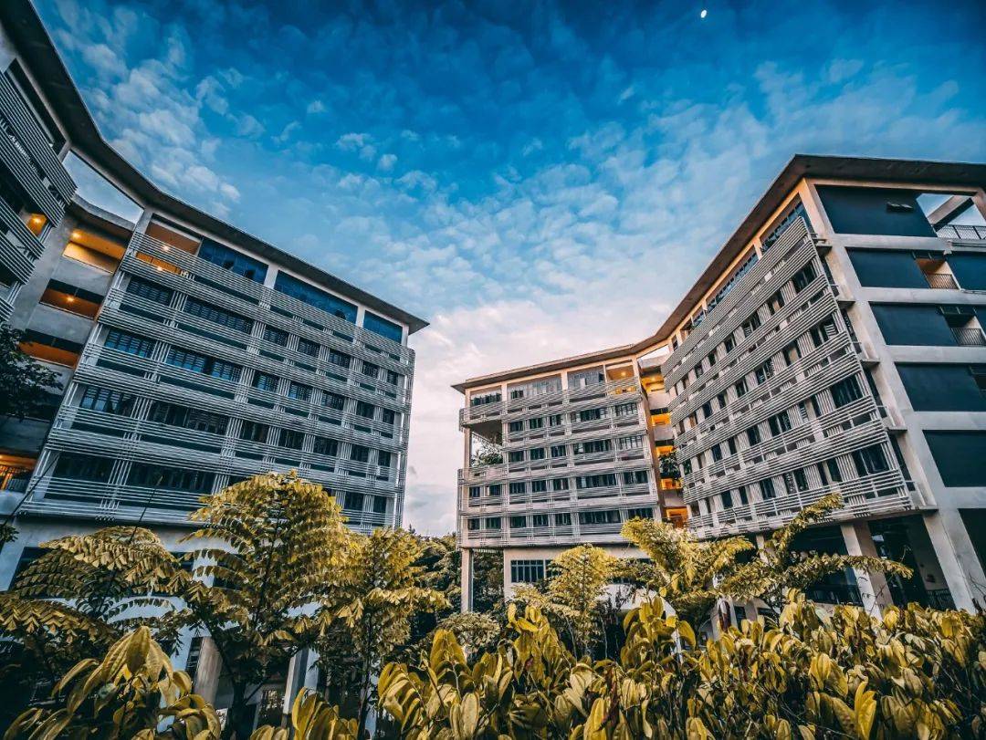 南洋理工大學，每一幀都很美