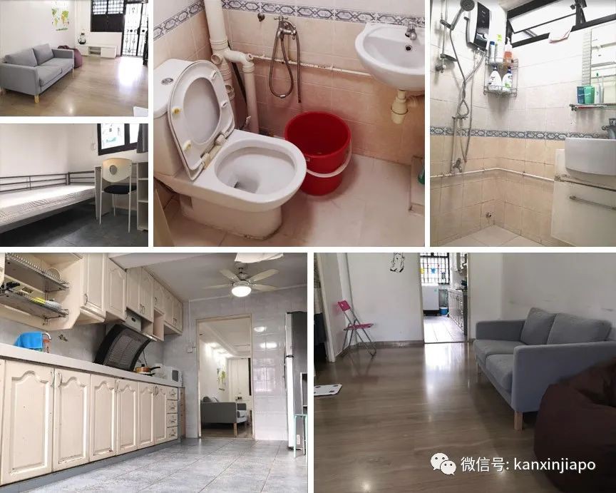 【汇总】出租求租信息:总有一个是你喜欢的!