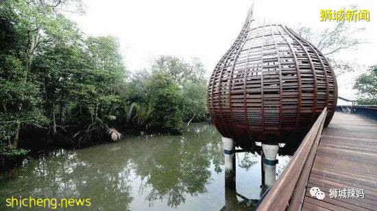 新加坡本地孩子都愛去玩的10個兒童公園，鍛煉身體，結識新朋友