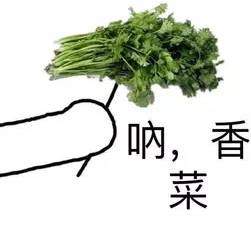 新加坡最香蛋糕，你吃過嗎