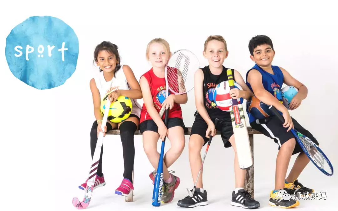 2歲到成人都能學！新加坡16間網球學校+3位專業教練，我幫你找好了