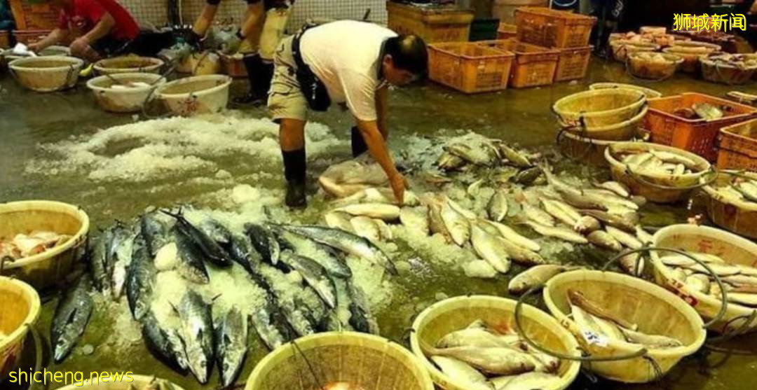 废水中检测到病毒片段！沈氏道四组屋展开强制检测