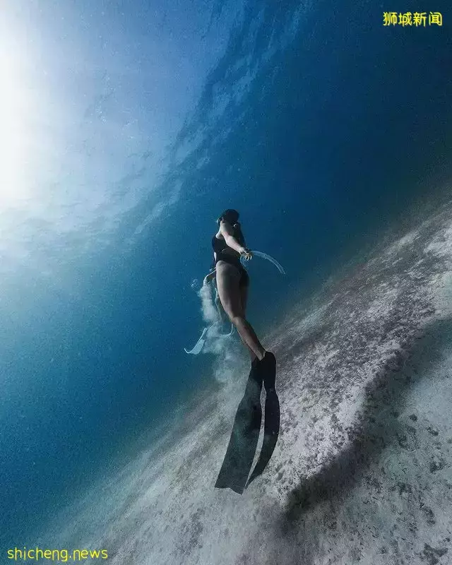 盘点新加坡超好玩的水上活动!即使不会游泳也可以体验~一起暴汗一起消暑