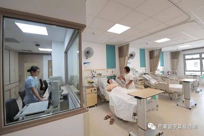 新加坡醫療之政府醫院