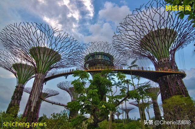 新加坡旅遊3天就夠?看完這篇最全攻略,你還這樣認爲嗎!