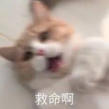 新加坡飛西安，同一航班累計18人確診！登機前檢測去哪做