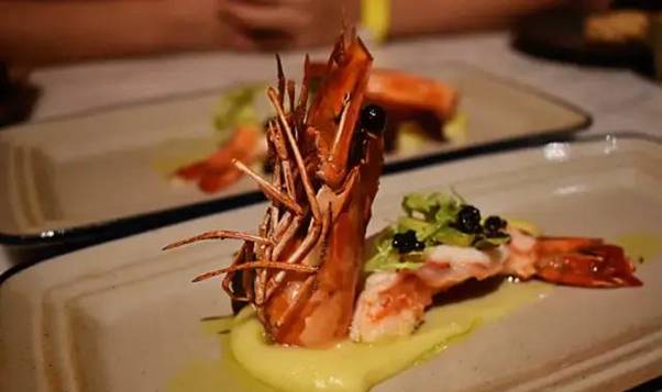 聖誕節該去哪?好吃的,好玩的統統安排