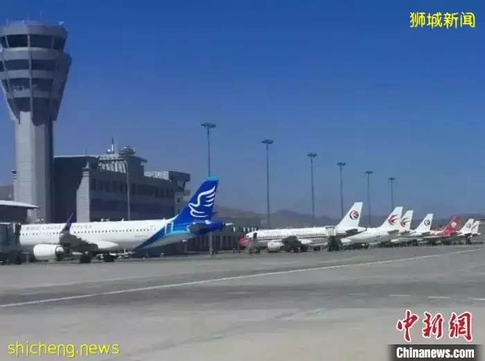 多國赴華簽證政策又調整，新加坡回國機票繼續降價