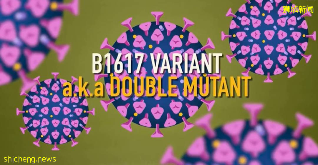 新加坡卫生部长手写稿流出，透露重大信息！一周后有望解封