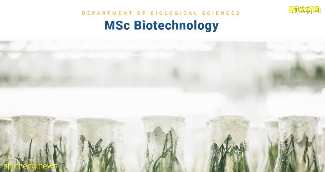NUS理工科碩士項目開放申請