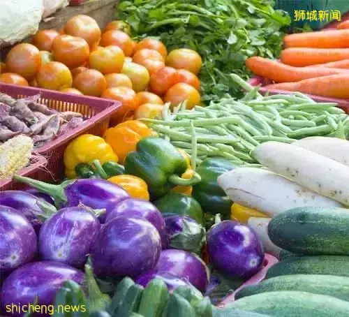 新加坡全球第二贵？最近连垃圾费都涨了