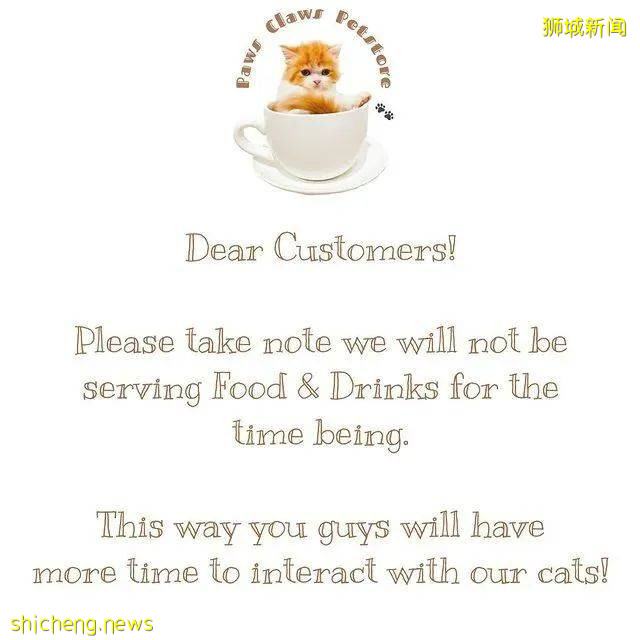 仅$12+!新加坡新开的撸猫好去处,让毛球们治愈你的心