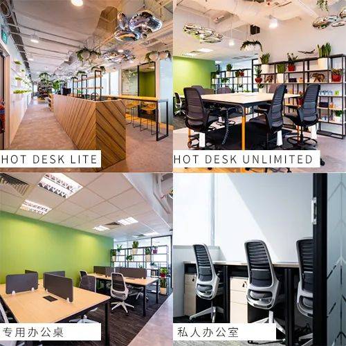 共享办公室,共享的不仅仅是办公室