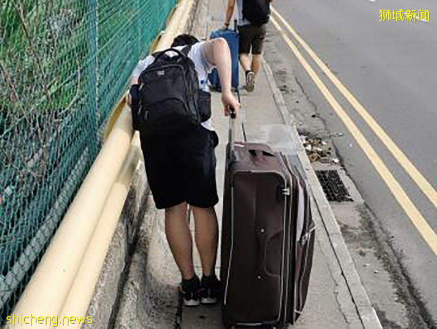 贵两倍照样秒杀　大马游子疯抢新隆VTL航班机票