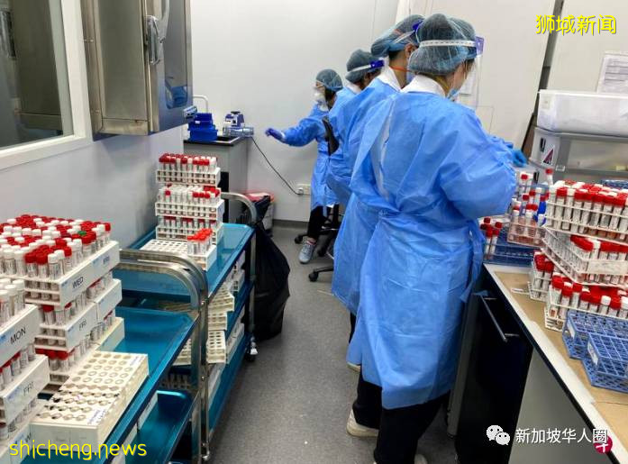 新加坡社区病例反弹,检测人数暴增,超负荷核酸检测结果或延误