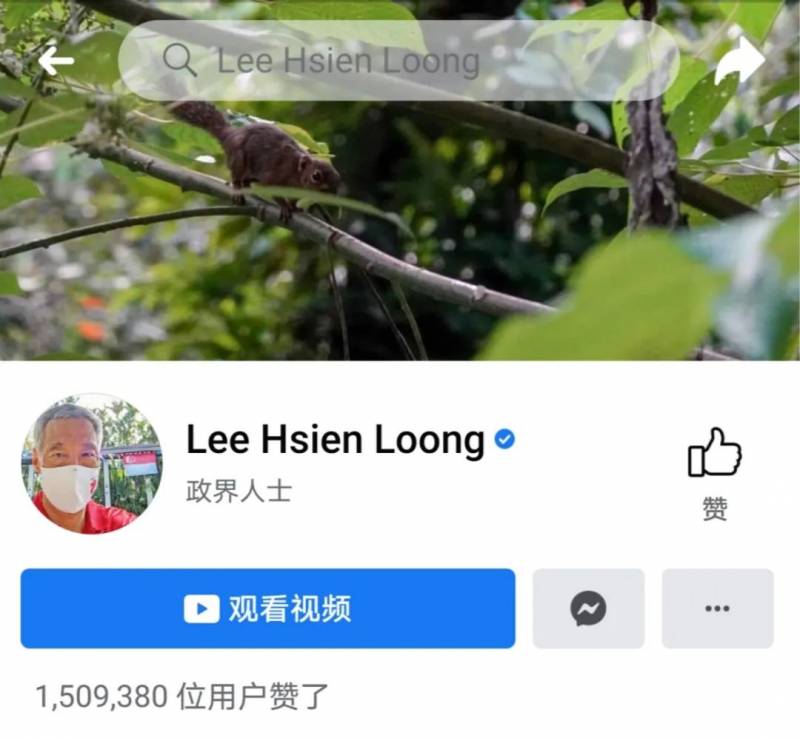 李顯龍總理發了這張小動物照片，竟引來無數人自曝