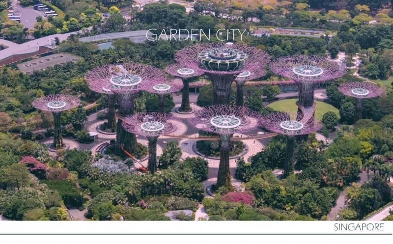 將自然引入城市:新加坡“花園城市”背後的故事