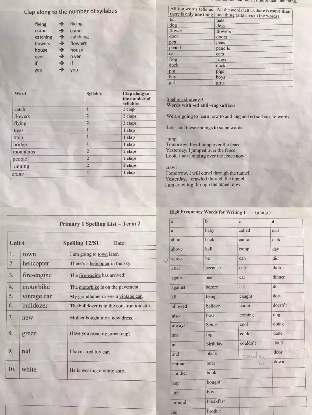 新加坡小學到底在學什麽?看完驚呆了