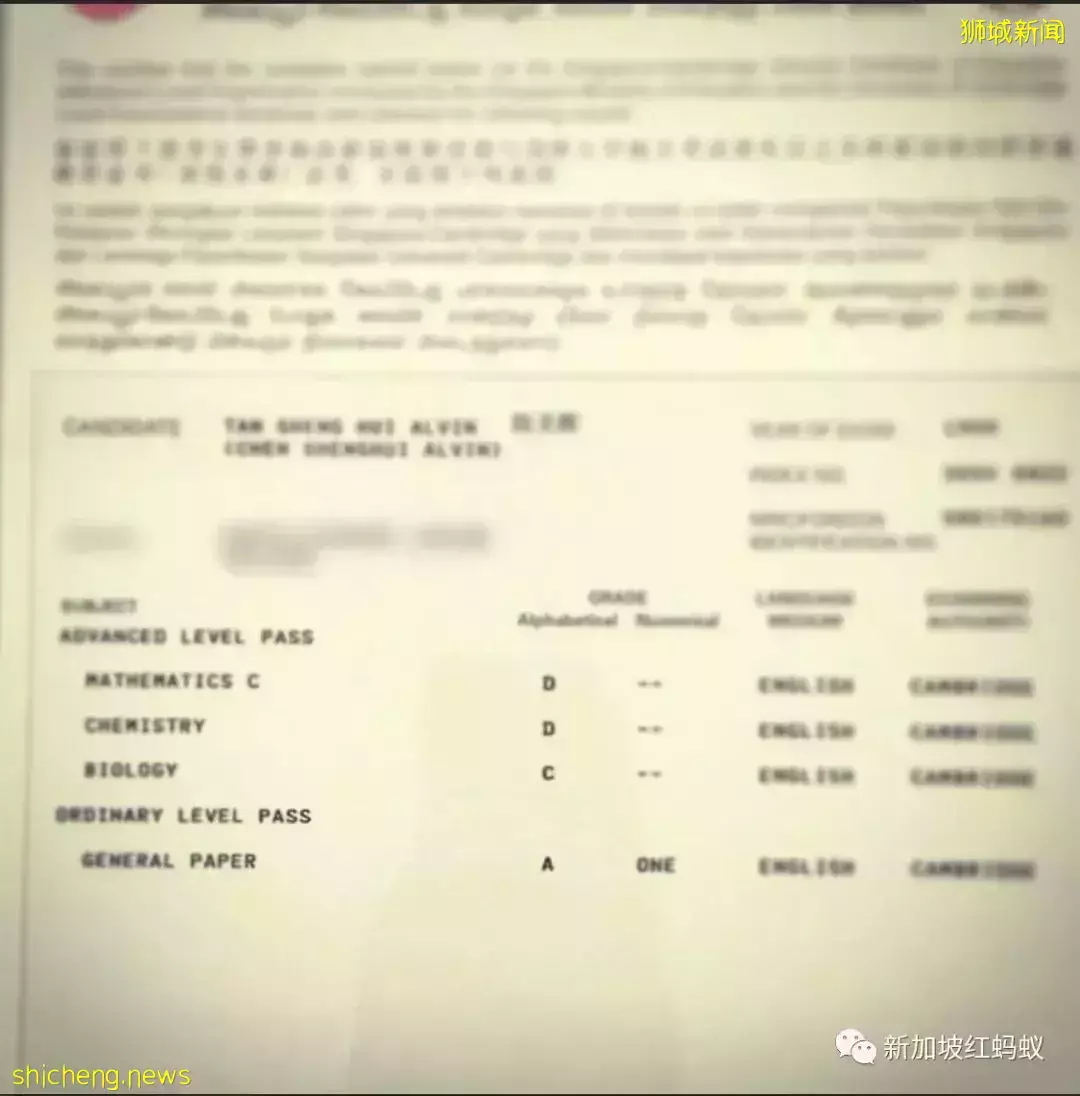 需要考到怎樣的成績,才有機會在新加坡從政