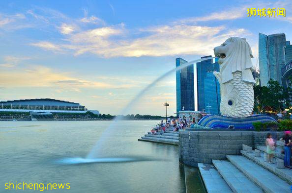 新加坡丨到了新加坡才知道的那些事兒（二）