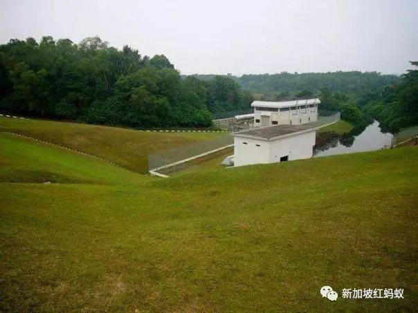 小小的新加坡竟有17個水庫　一個比一個清幽秀麗