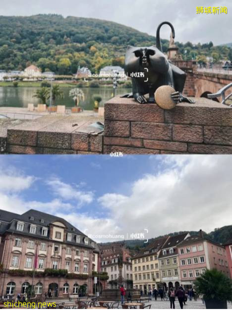 “最近!我從新加坡飛德國、法國免隔離度假,猜猜花了多少錢~”