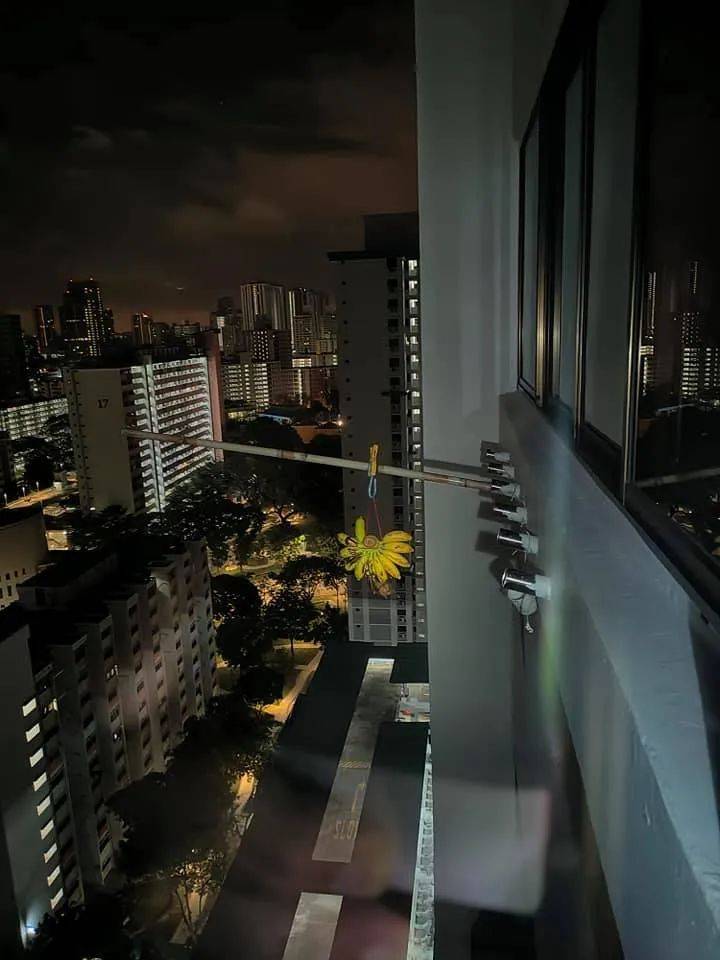 “救命！我在新加坡厨房里挂了一串香蕉，引来一群蝙蝠！”