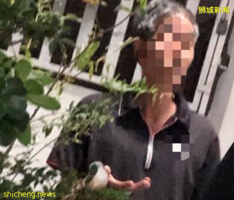 最新进展！弃婴台湾的新加坡籍情侣被捕！网友高呼：送回去