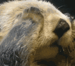 小坡島種草機!春遊野餐正當時,讓大自然治愈你