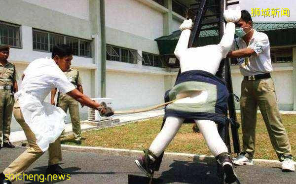 新加坡这样一个弹丸小国为什么能成为发达国家