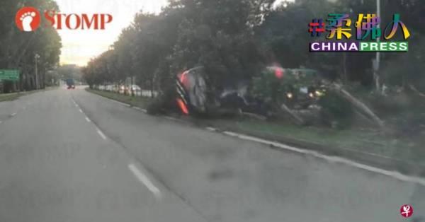 宝马失控撞路堤 10树遭殃