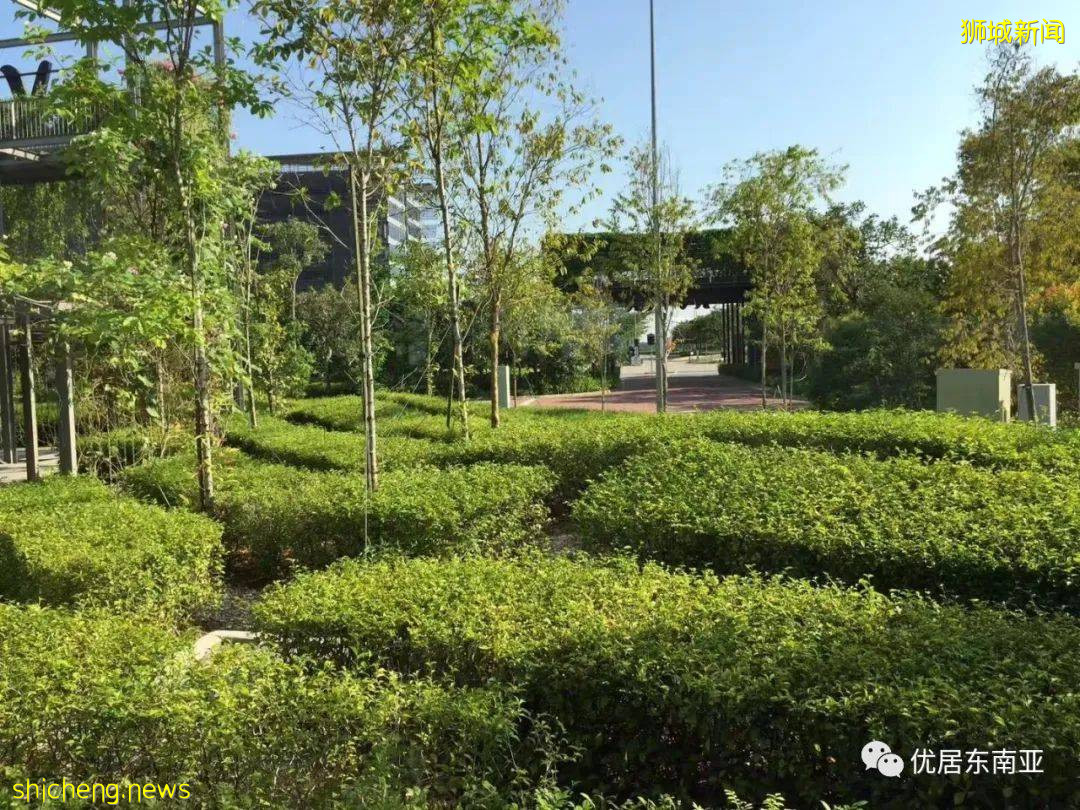 新加坡“神秘公司”淡馬錫，投資了輝瑞、元氣森林和Shopee