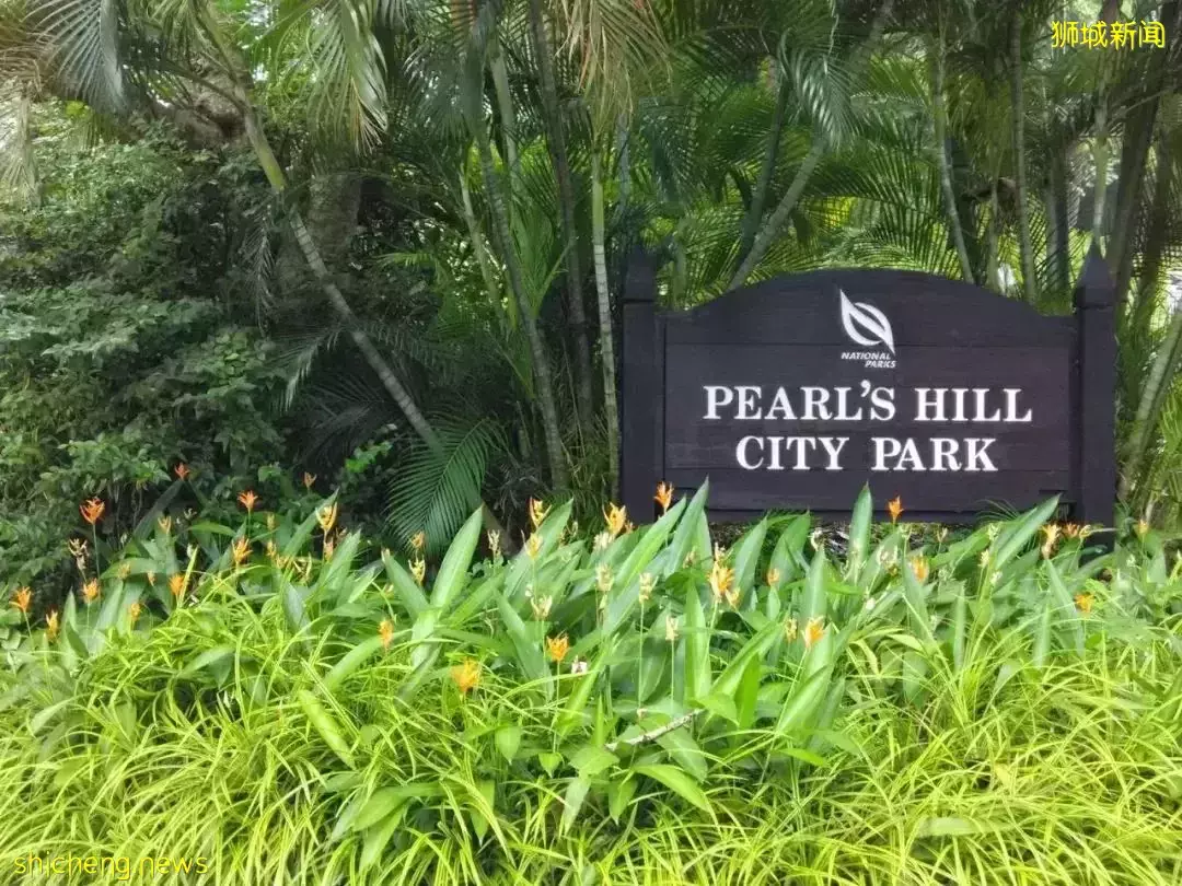 The Landmark 鼎瑞苑 市区绝对价值洼地 立化学区房 闹市花园 清幽山景