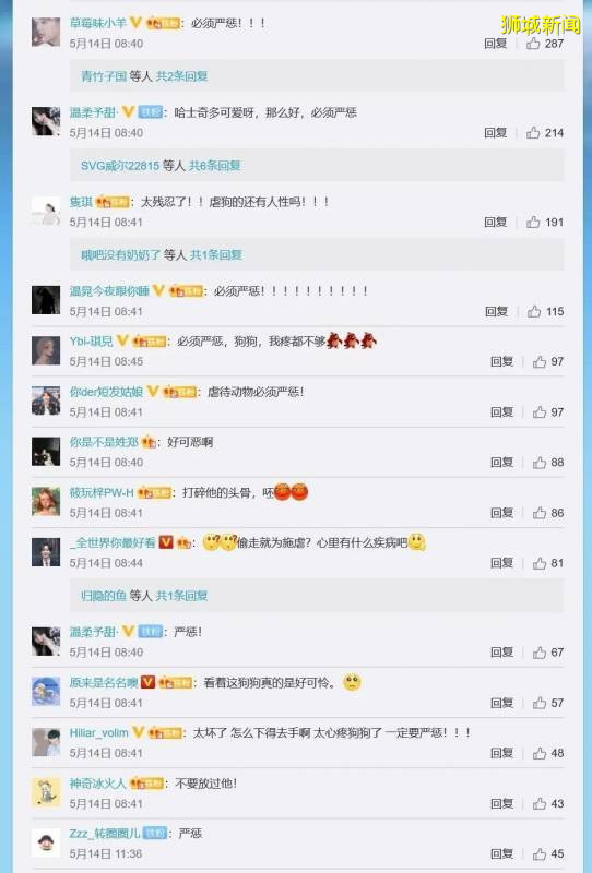 新加坡疯传的虐狗事件,主角被全网人肉!狗狗已经找到